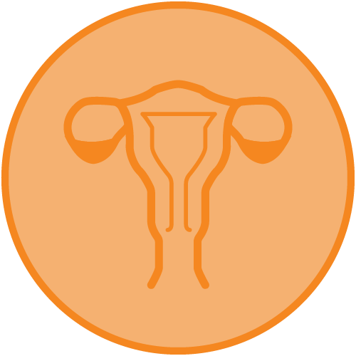 Doctor Specialty - Obstetrics & Gynaecology O&G