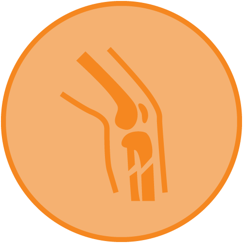 Doctor Specialty - Orthopaedics